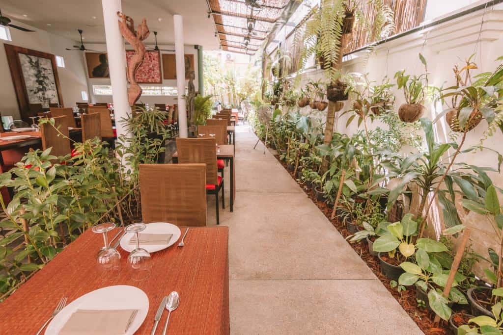 Chanrey Tree - Cambodian Food in Siem Reap - Where To Eat in Siem Reap: Best Restaurants in 2022