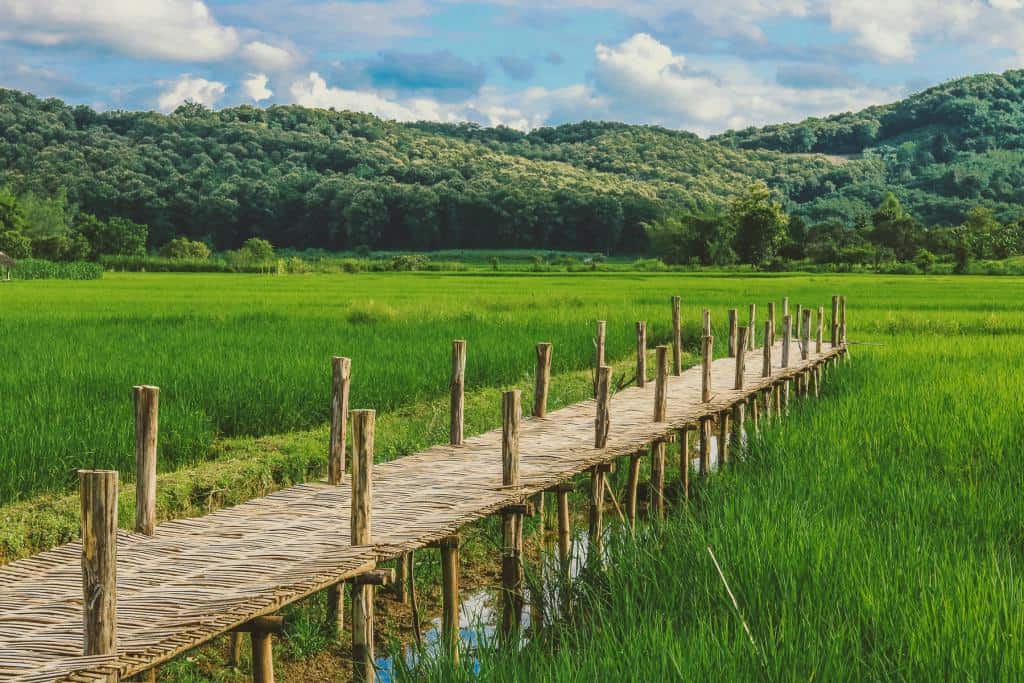 The Top Places to Visit in Thailand