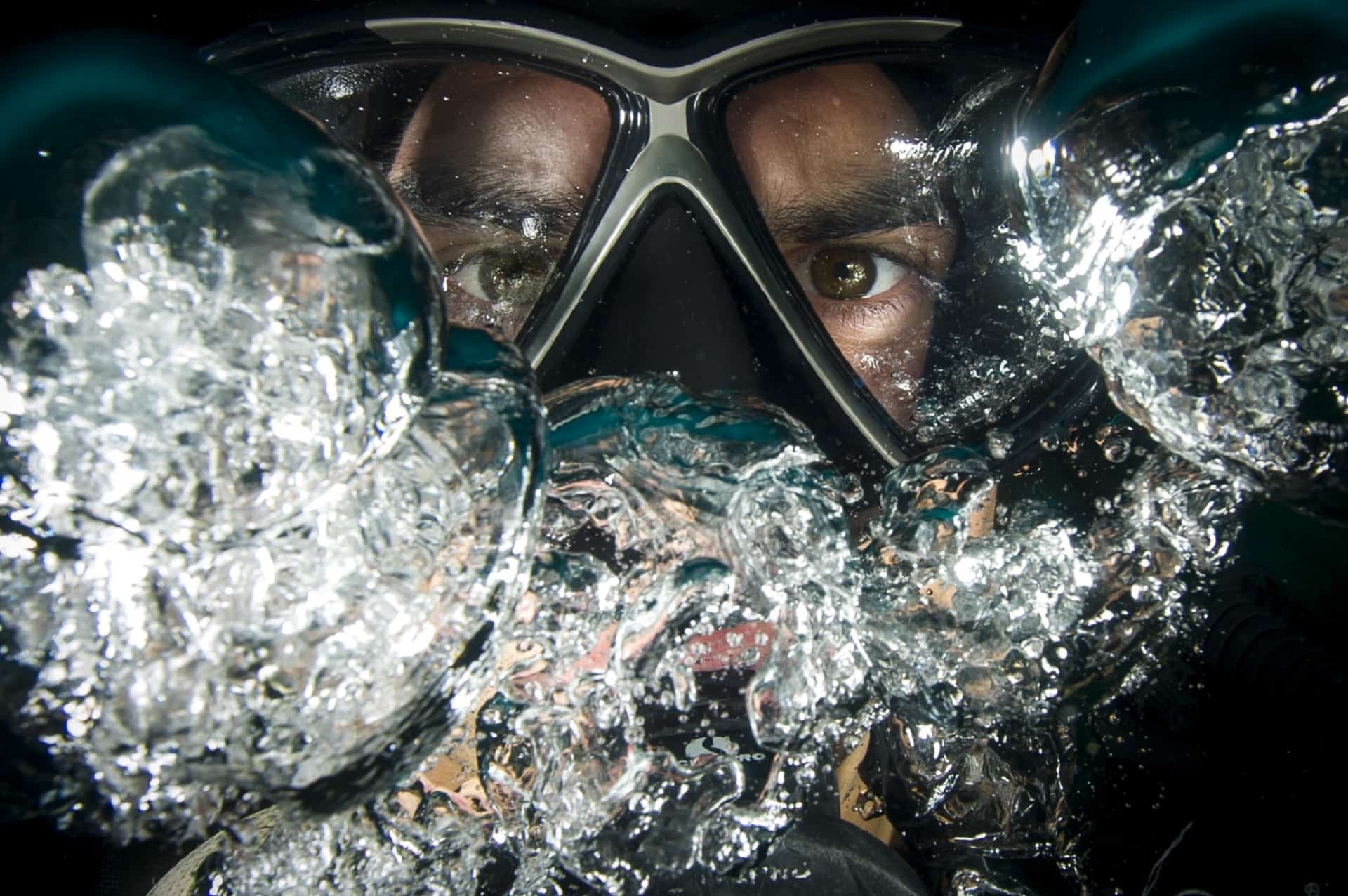 Mad Monkey Hostels Scuba Diving in The Philippines Top 10 Dive Sites