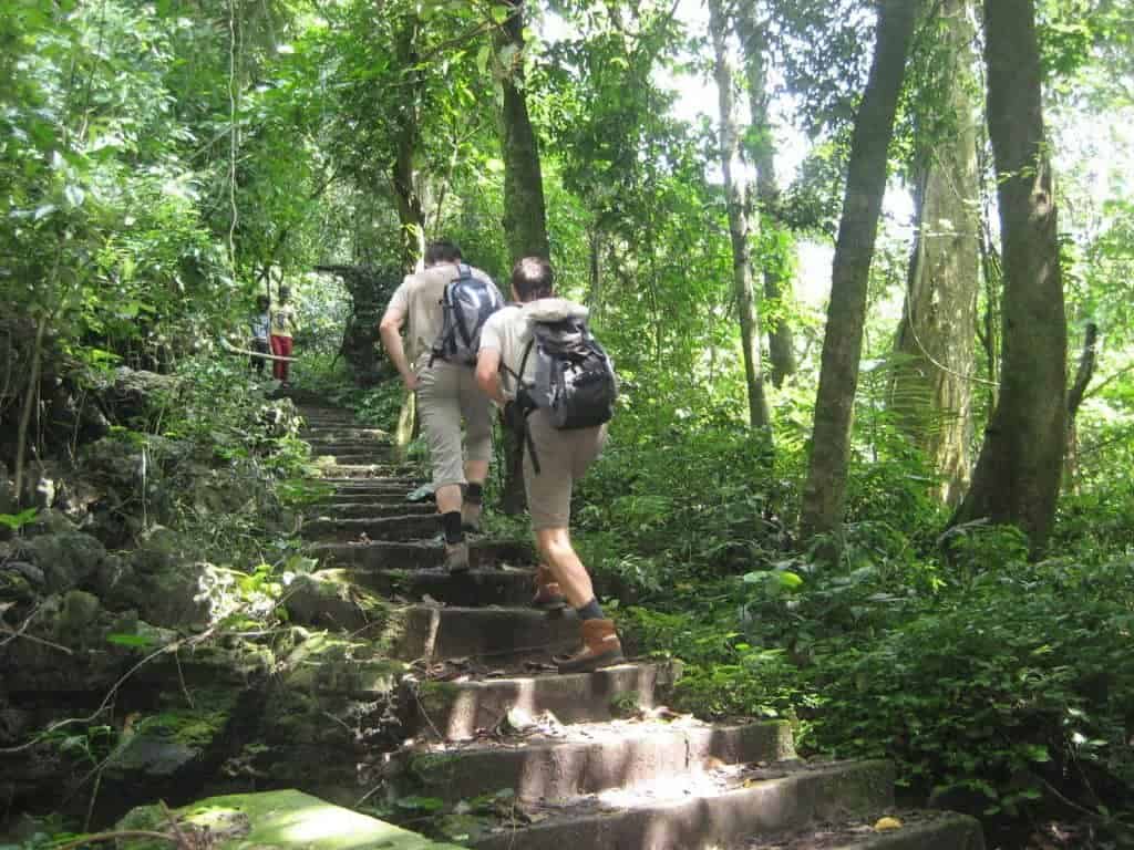 Trekking in Vietnam - Cuc Phuong National Park