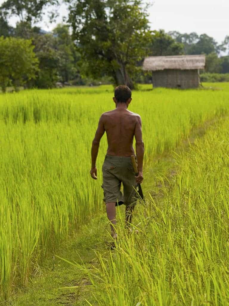 4000 Islands, Laos: The Chilled Life Aquatic