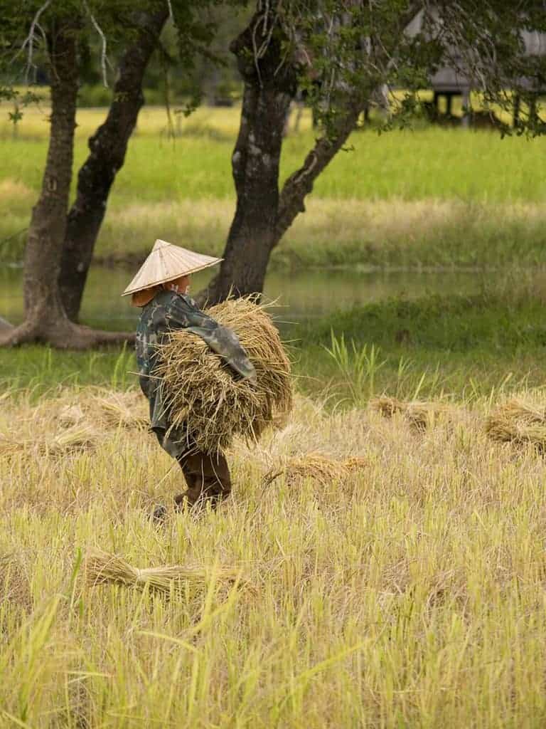 4000 Islands, Laos: The Chilled Life Aquatic