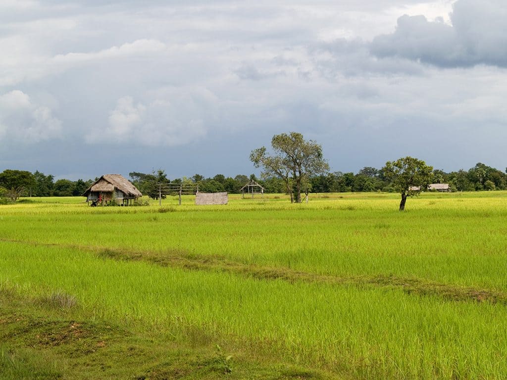 4000 Islands, Laos: The Chilled Life Aquatic