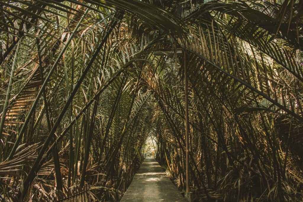 Cycling in Bangkok: Bang Krachao