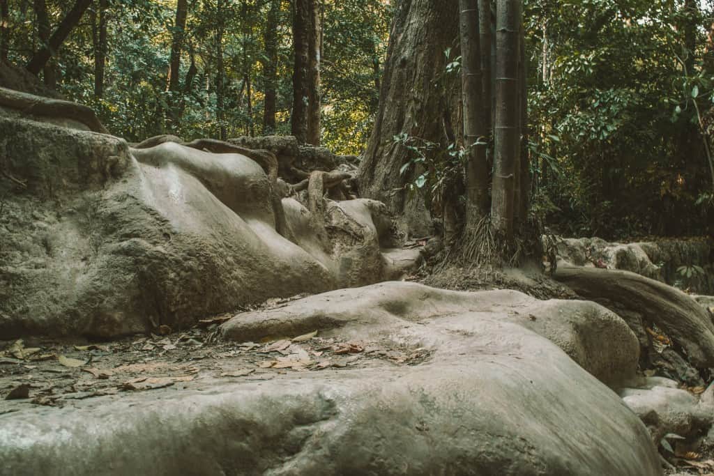 Planning a trip to Thailand?