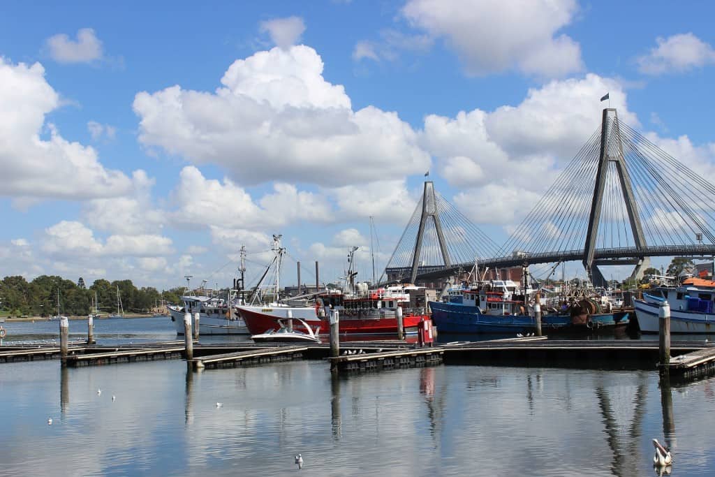 10. Get a seafood lunch in the Sydney Fish Market - What To Do In Sydney On a Backpacker’s Budget