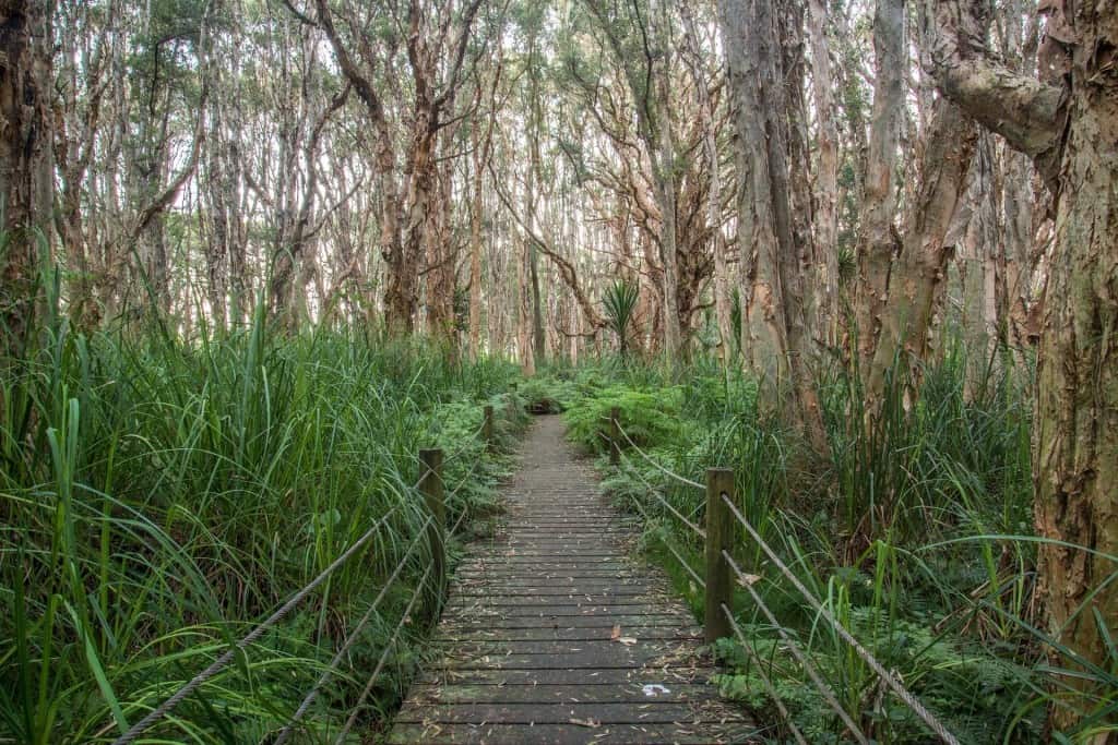 2. Soak up the sun in one of the many parks - What To Do In Sydney On a Backpacker’s Budget