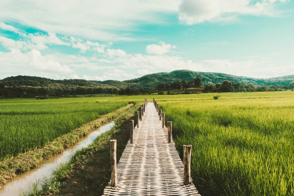 When to visit Thailand