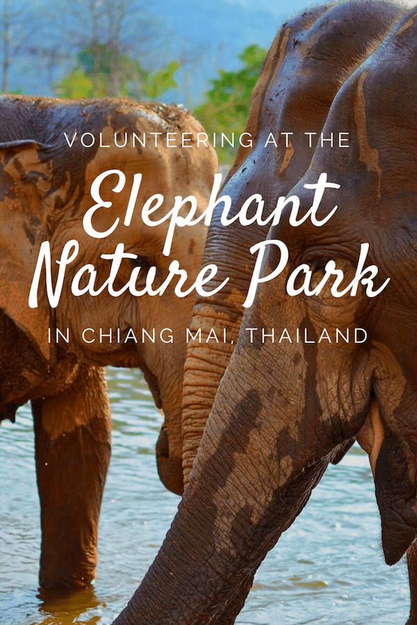 Elephant Nature Park in Chiang Mai