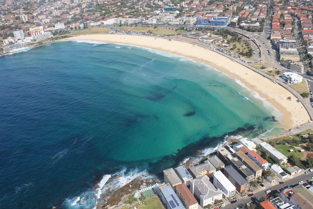 Luxury Bondi Beach Hotels - Bondi Beach: Hotels, Apartments, Hostels, and More for Every Budget Cheap Bondi Accommodation