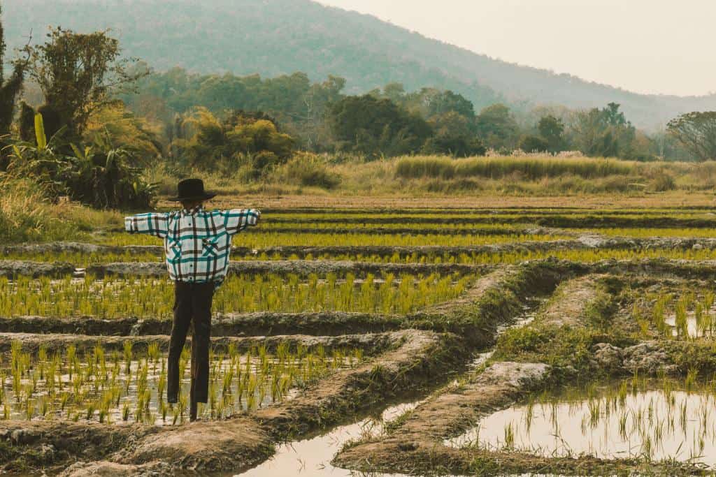 How to get to Chiang Mai