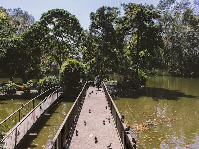 Temples in Chiang Mai: Wat Umong