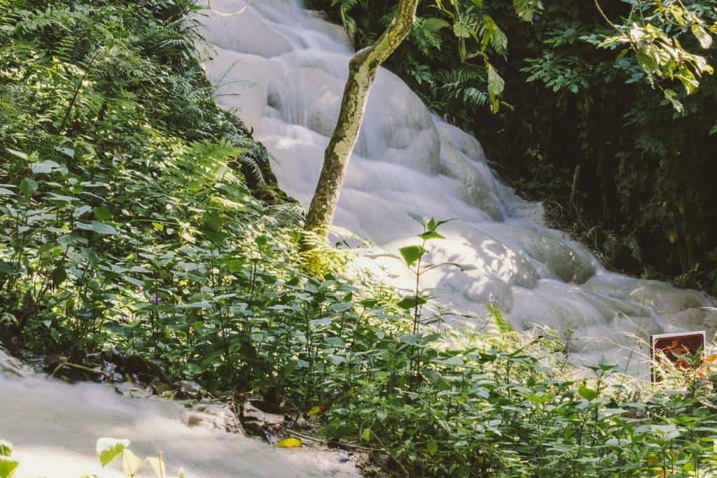 Climb the Sticky Waterfalls
