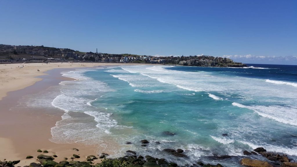 Mad Monkey Hostels Bondi Beach Hotels Apartments Hostels and More for Every Budget