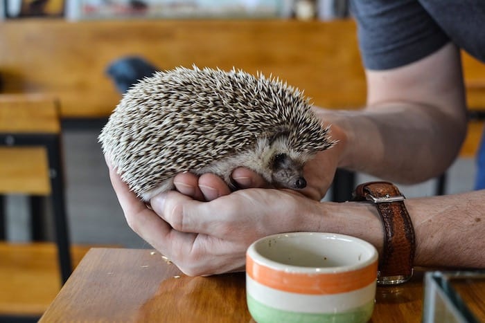 Check out a Funky Cafe