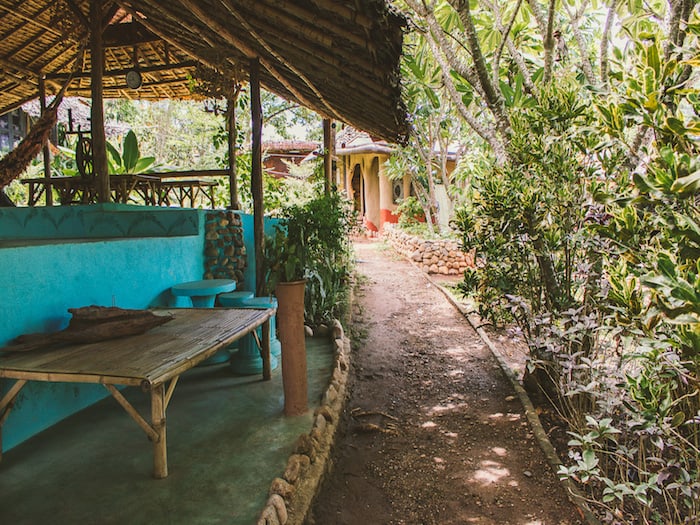 Re-Wild House and Craft Shop