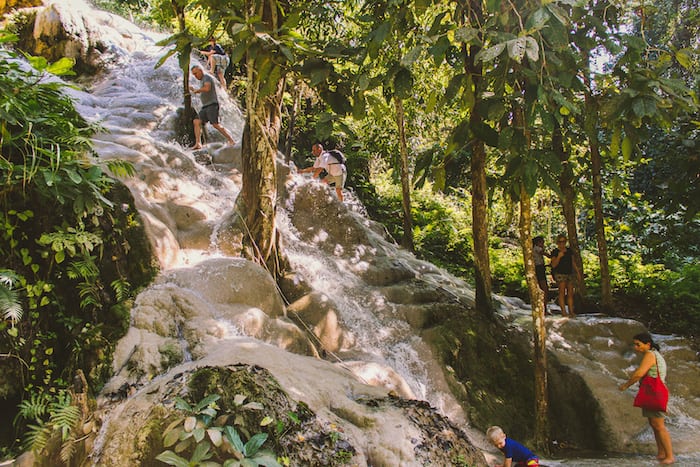 Climb up the Sticky Waterfalls