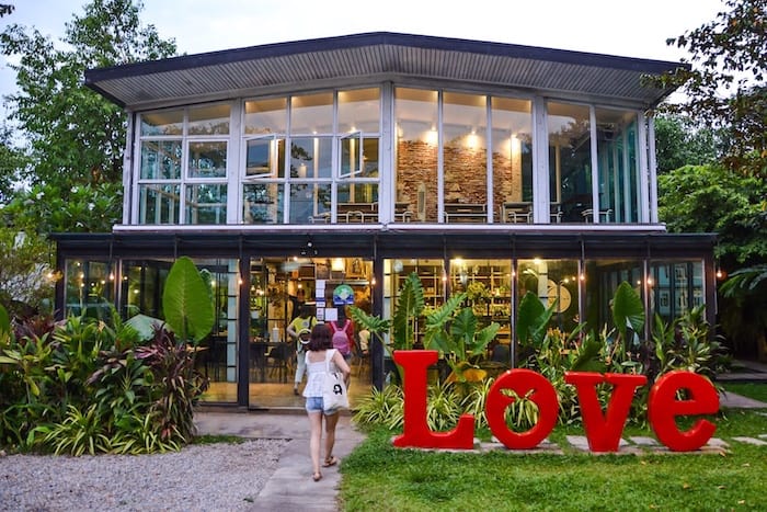 Cainito in Chiang Mai