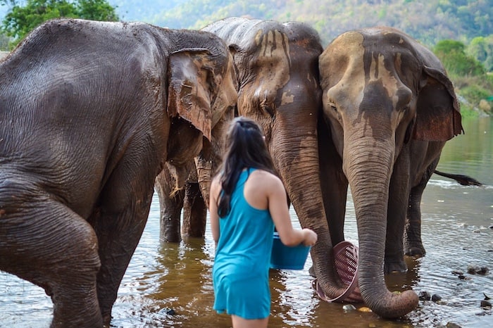 Fun Things to do in Chiang Mai Solo: Volunteer