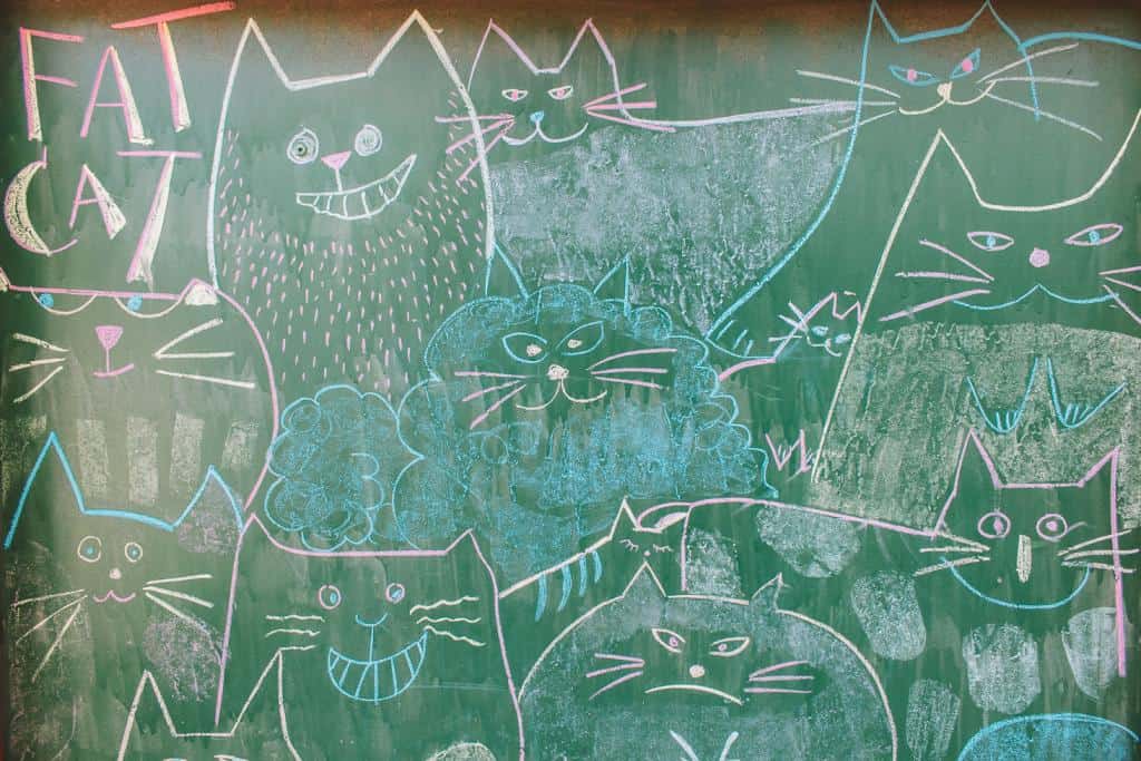 Fat Cat 