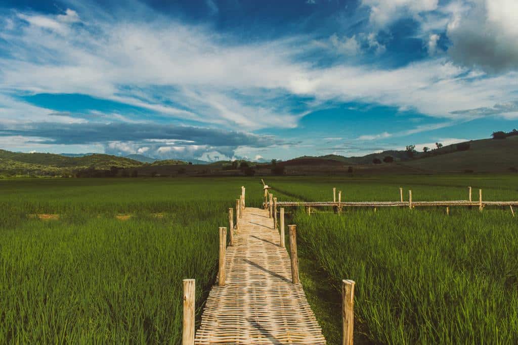 For Budget Travelers in Northern Thailand: Chiang Rai