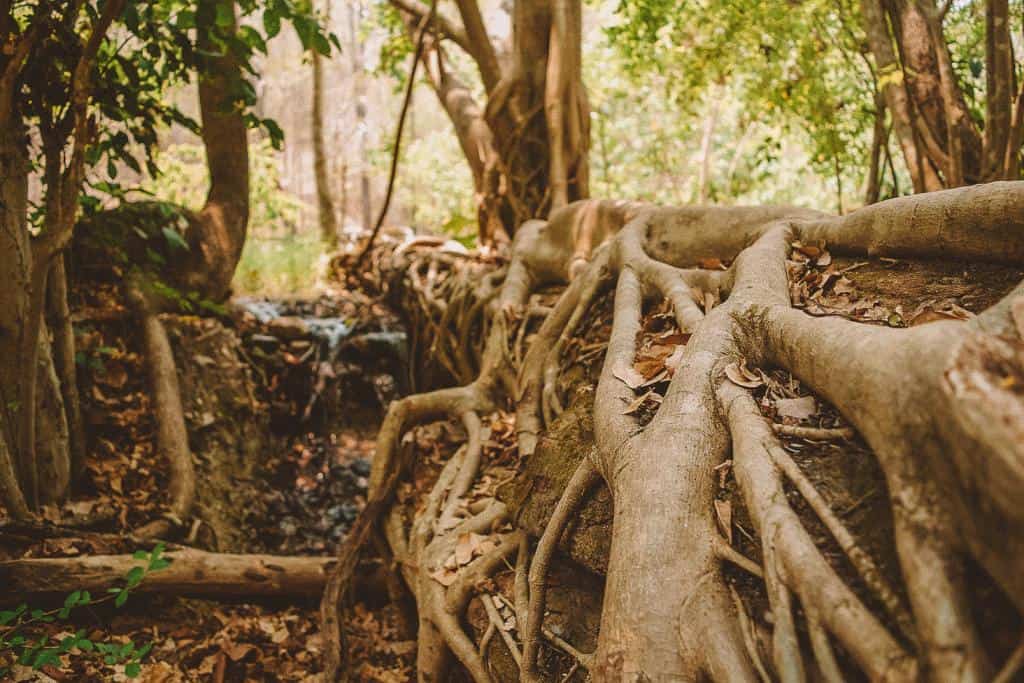 Soak in one of the Hot Springs - The Top 20 Things to do in Pai, Thailand