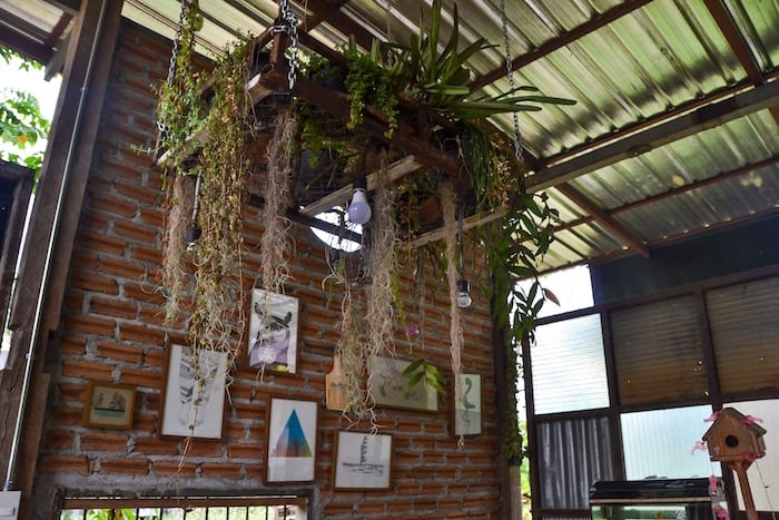 A Taste of Joy - Where to get Breakfast and Brunch in Pai, Thailand