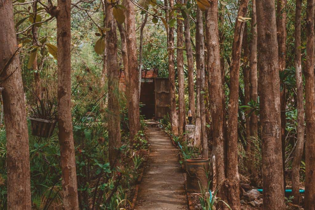 Go Fishing at Piranha Fishing Park - Unique & Awesome Things to do in Pai in 2020