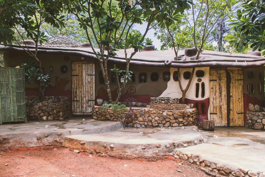 Yoga at Re-Wild House - Pai Fitness: a Guide to the Best Gyms, Yoga Studios, and Where to Workout