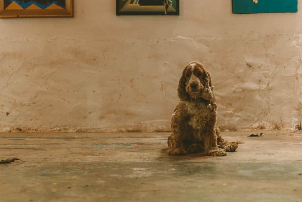 Baan Pittalew Art Gallery