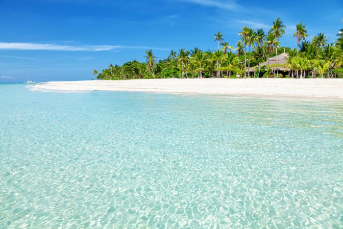 Mad Monkey Hostels Cebu Island Hopping Best Islands Nearby