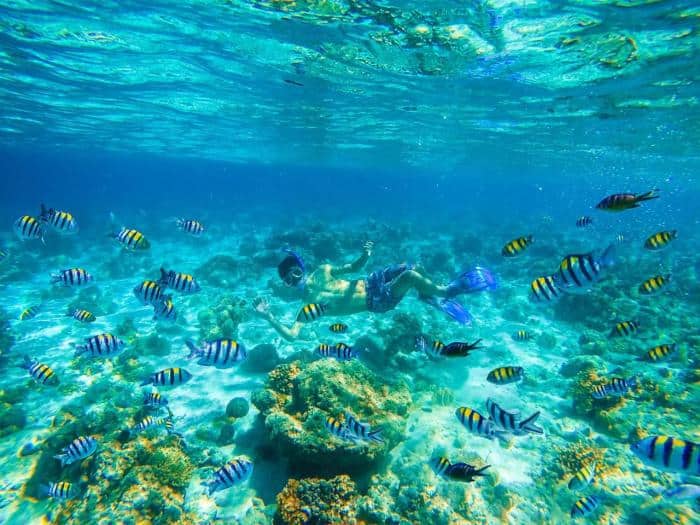 Sumilon Island - Cebu Island Hopping: Best Islands Nearby