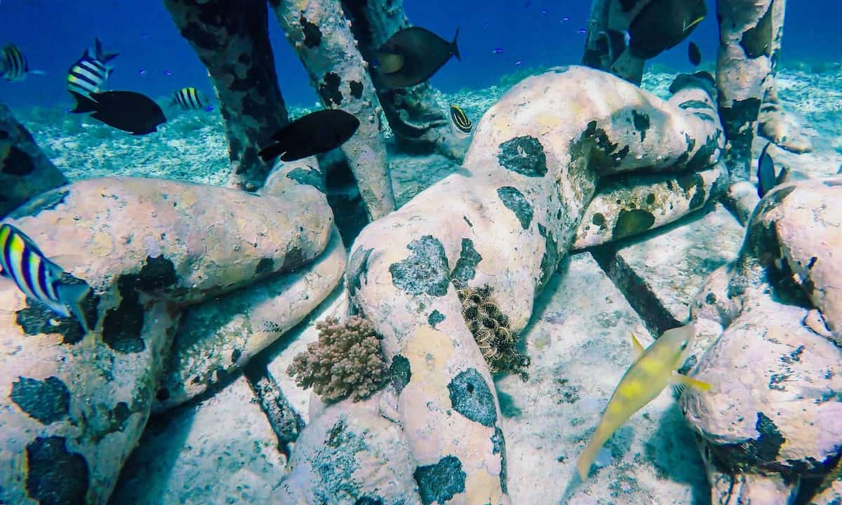 Environmental Effects of the Gili Meno Underwater Statues - Gili Meno Statues: A Guide to the Underwater Statues in Indonesia