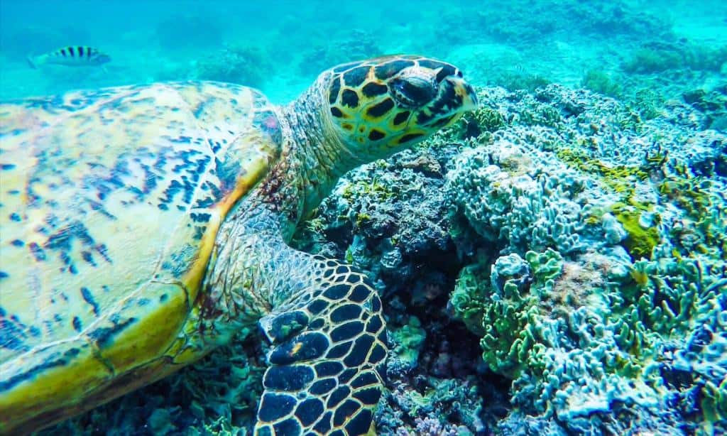 17 Things You Need to Know About Plastic Pollution