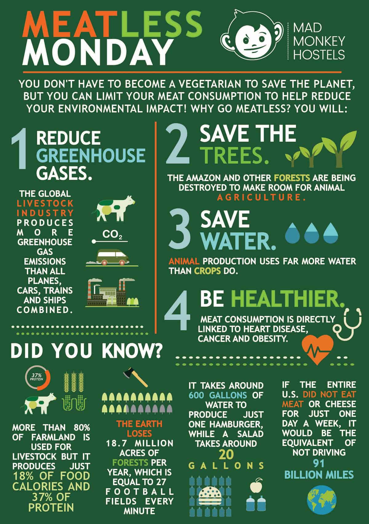 Meatless Monday at Mad Monkey Hostels