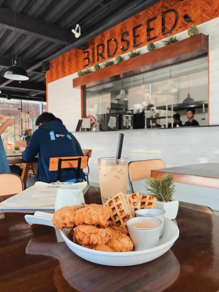 Birdseed Breakfast Club + Café - 10 Best Cafes in Cebu: Where to Get Your Caffeine Kick