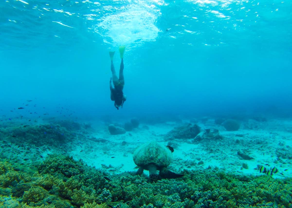 Things to do on Gili Trawangan on a Budget - Things to do in Gili Trawangan on a Budget: A Backpacker’s Guide