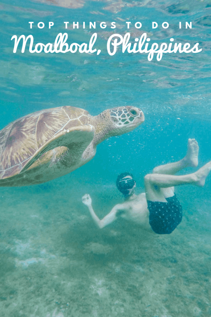 Pin Now, Read Later - The Best Things to Do in Moalboal, the Philippines