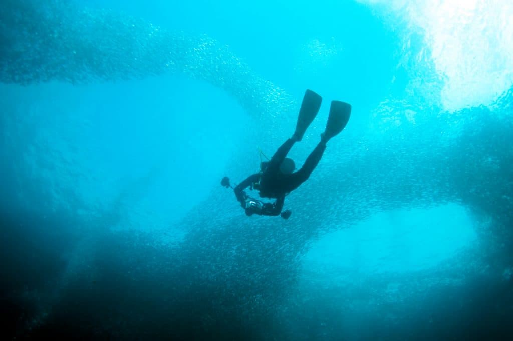 Awesome Things to Do in Moalboal - Diving in Moalboal- The Best Things to Do in Moalboal, the Philippines