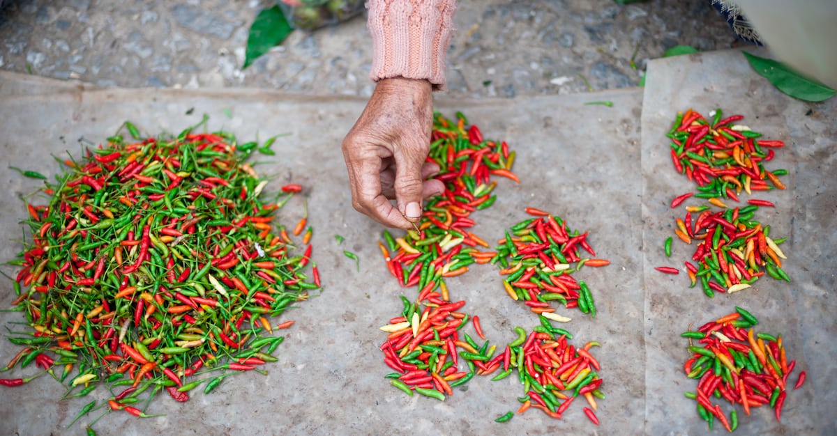Learn a New Skill at a Class or Workshop - Things to do in Luang Prabang on a Budget in 2019