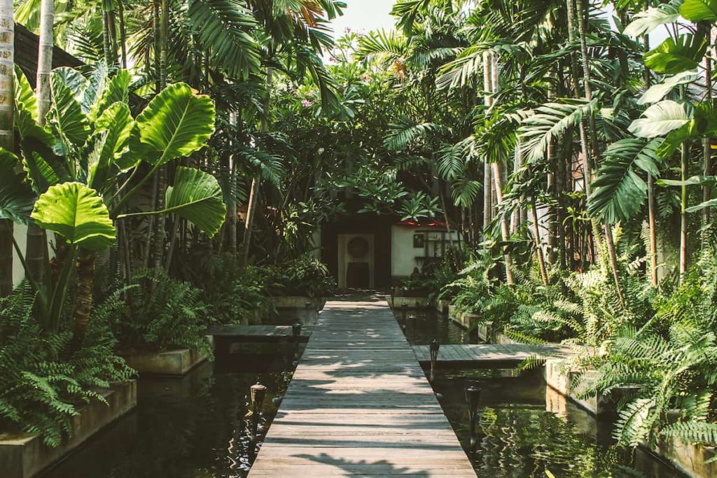 Mad Monkey Hostels Chiang Mai Spas Where to Get the Best Thai Massage