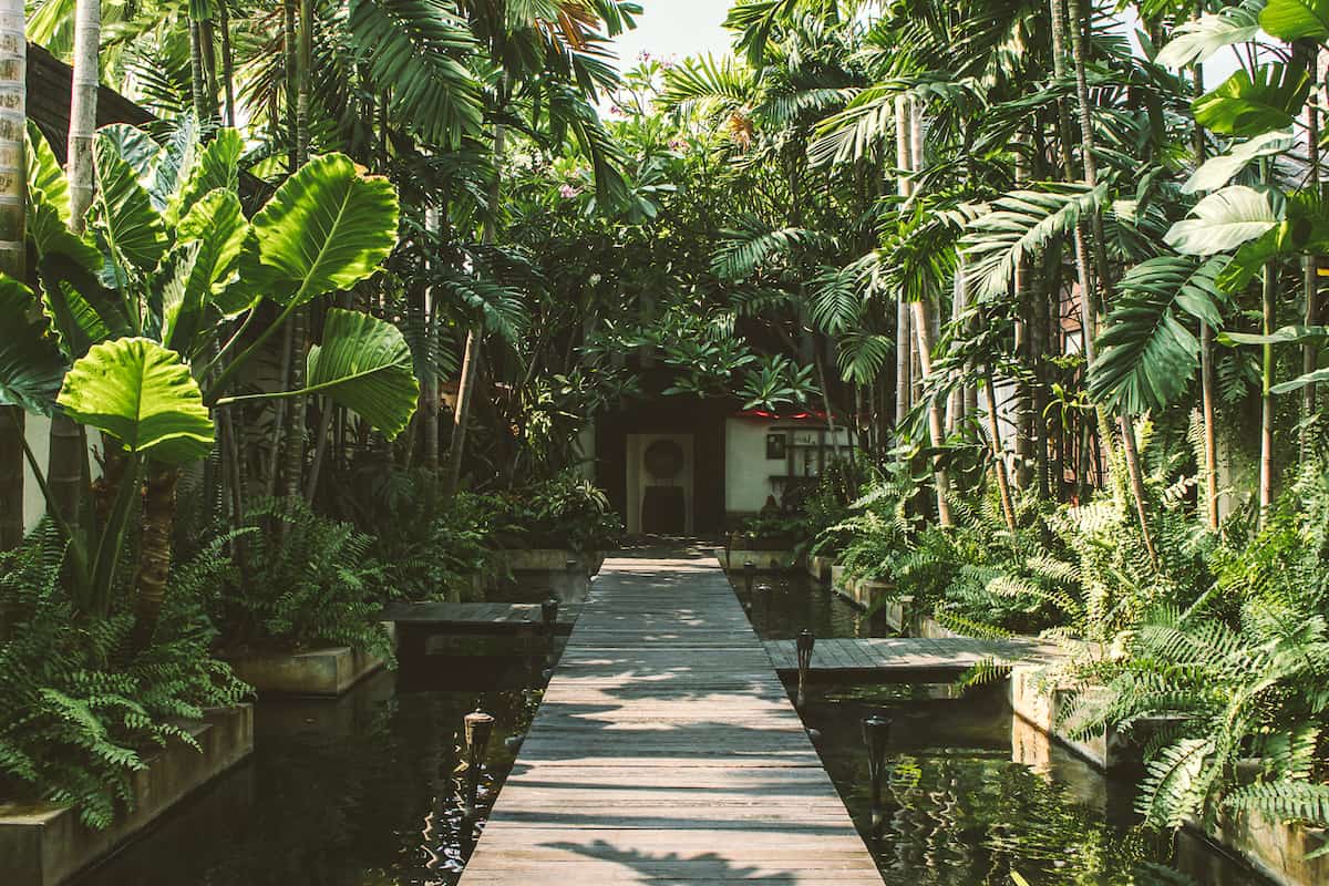 Mad Monkey Hostels Chiang Mai Spas Where to Get the Best Thai Massage