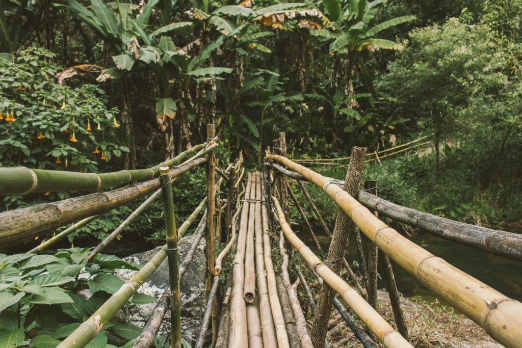 Mad Monkey Hostels Chiang Mai The Best Day Trips You Should Go On