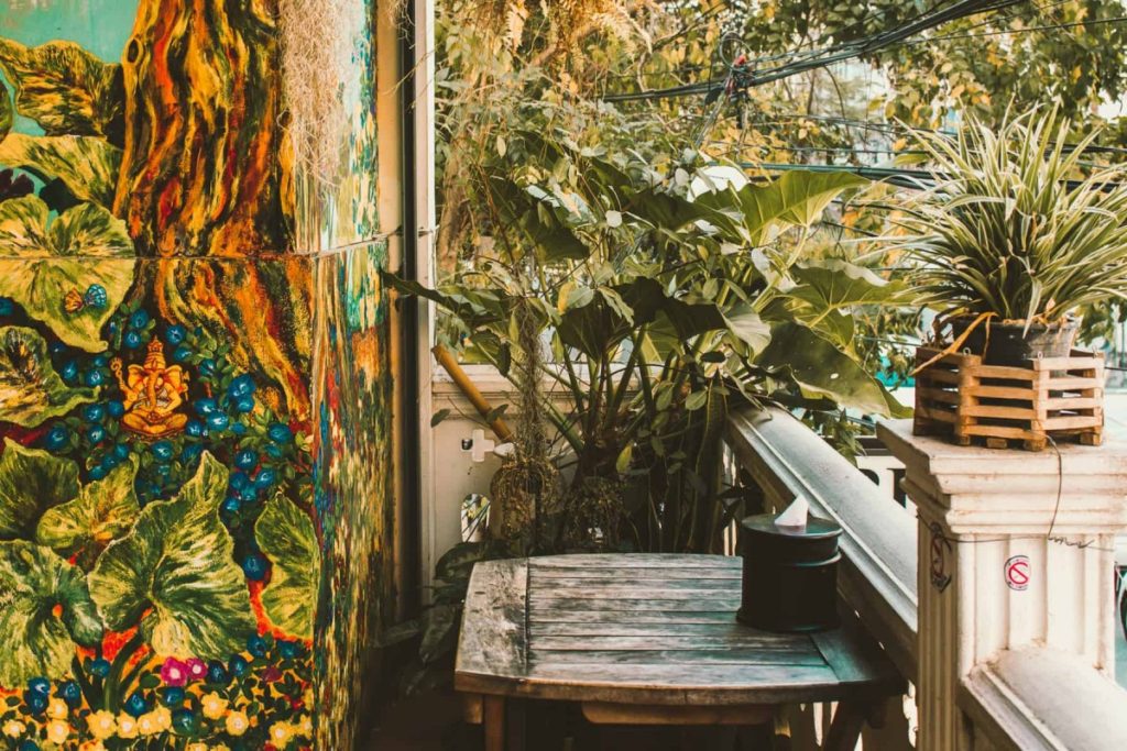 Mad Monkey Hostels The 13 Best Vegetarian Restaurants in Chiang Mai