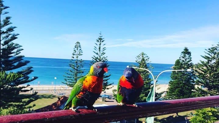 Explore Coogee Beach