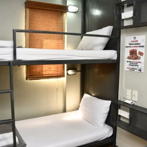 Standard Twin Bunk
