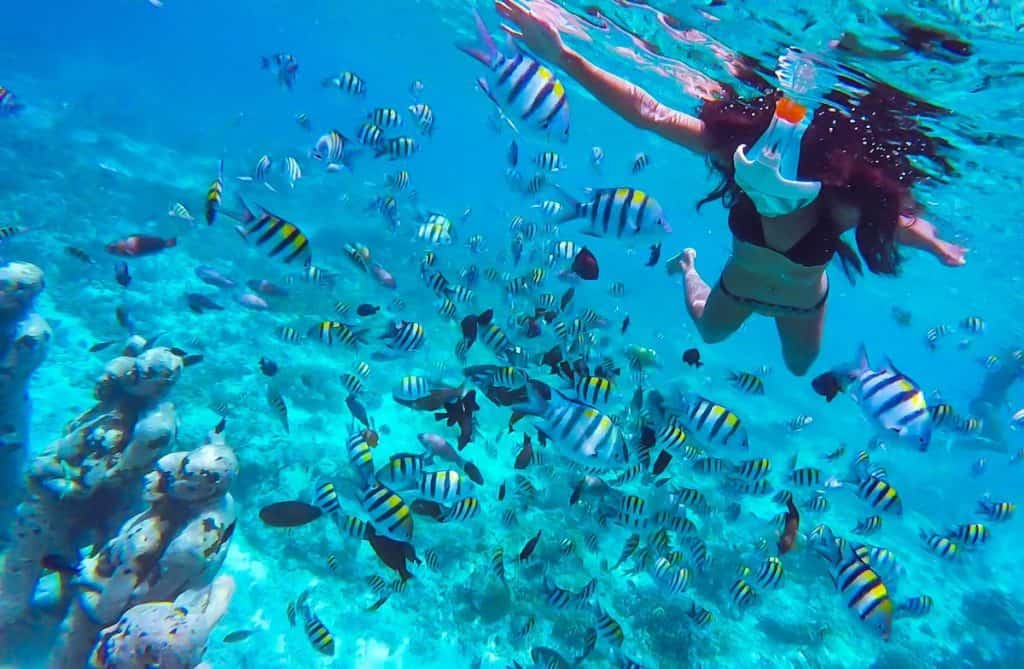 Lombok Travel Guide: Top Things to do on Lombok