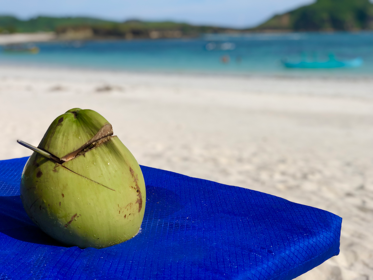 Lombok beach coconut