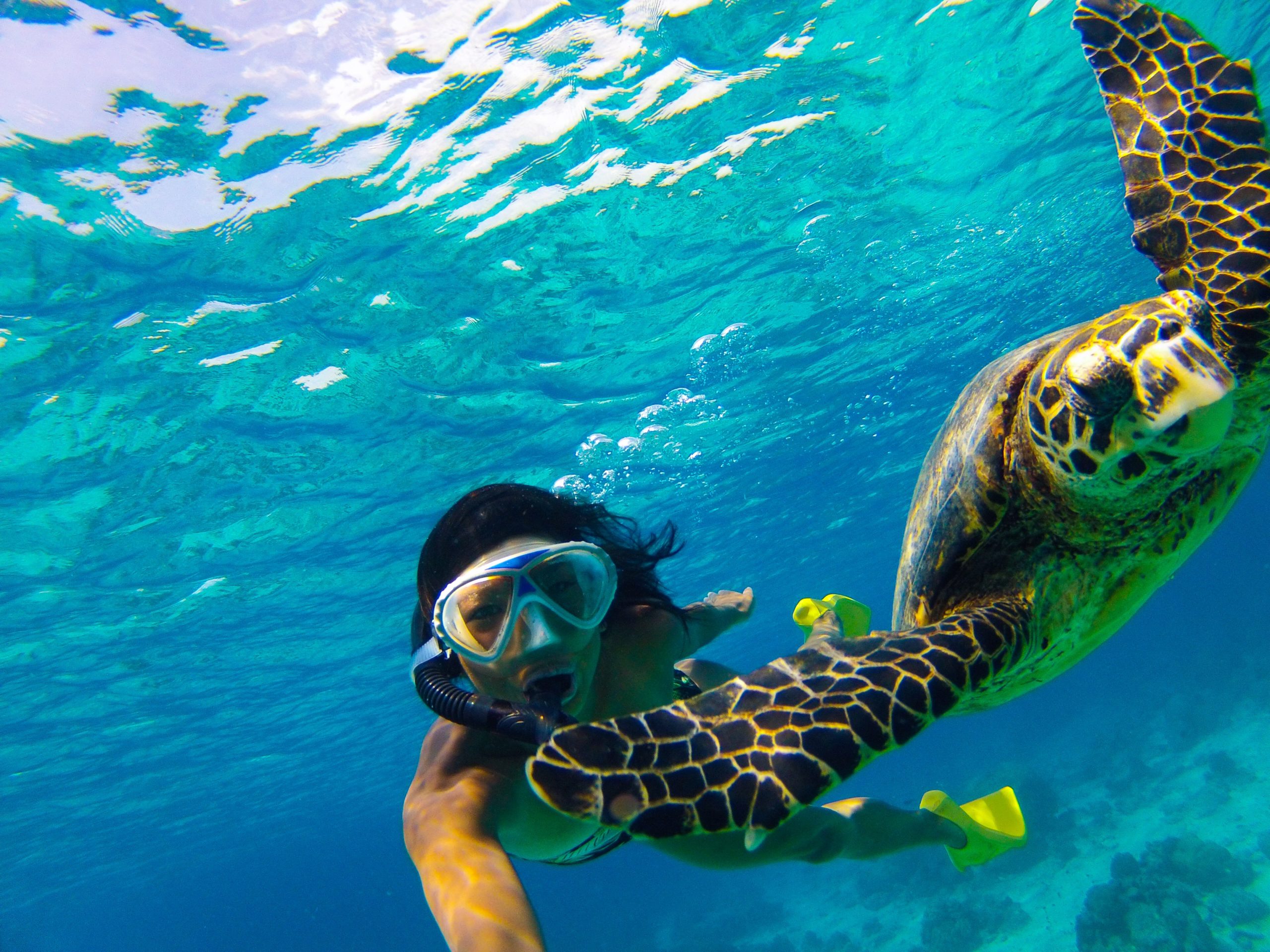 Mad Monkey Snorkeling Tour