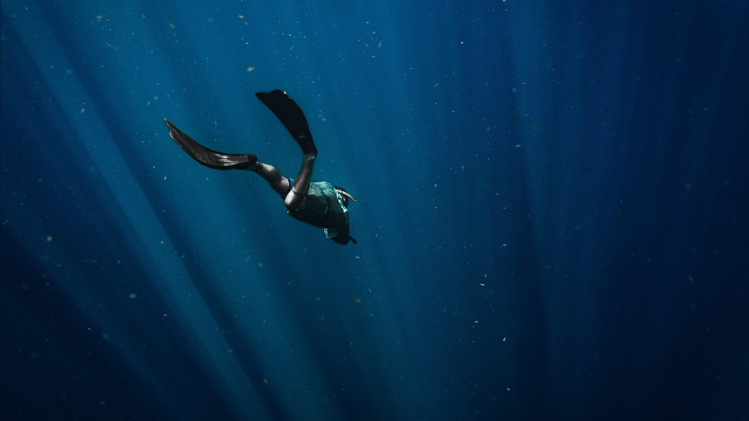 diver in the ocean